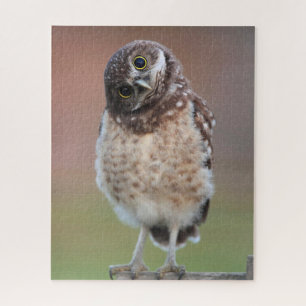 Cutest Baby Animals Burrowing Owl Owlet Jigsaw Puzzle