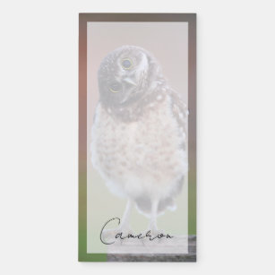 Cutest Baby Animals   Burrowing Owl Owlet Magnetic Notepad