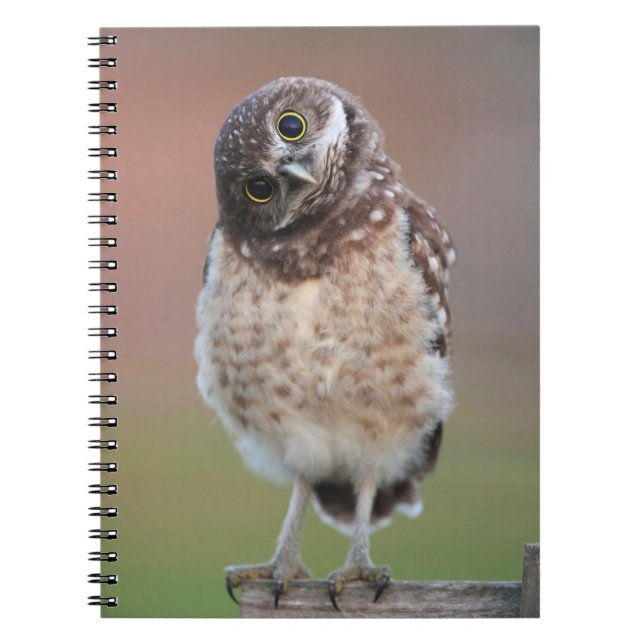 Cutest Baby Animals | Burrowing Owl Owlet Notebook (Front)