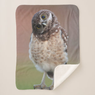 Cutest Baby Animals Burrowing Owl Owlet Sherpa Blanket