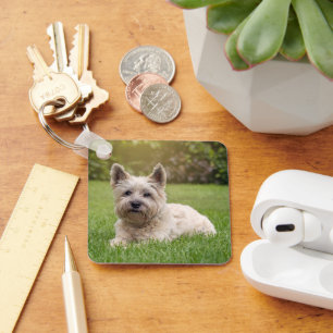 Cutest Baby Animals   Cairn Terrier Dog Key Ring