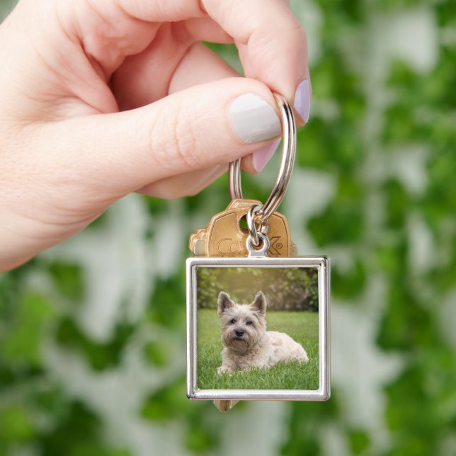Cutest Baby Animals | Cairn Terrier Dog Key Ring (Hand)