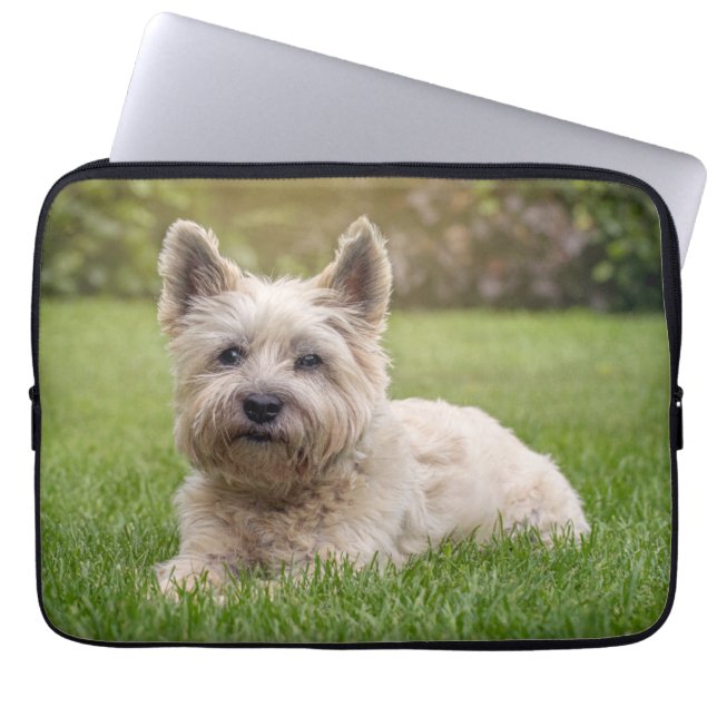 Cutest Baby Animals | Cairn Terrier Dog Laptop Sleeve (Front)