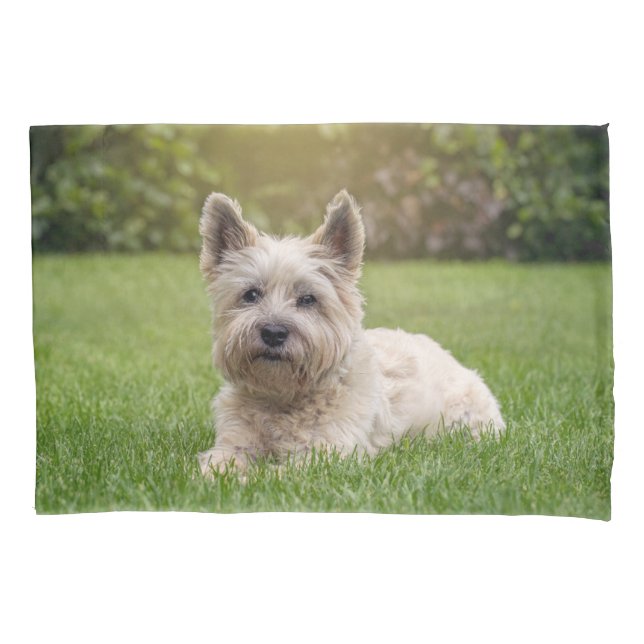 Cutest Baby Animals | Cairn Terrier Dog Pillowcase (Front)