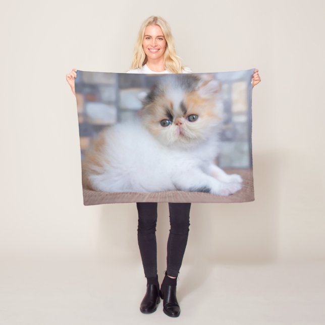 Cutest Baby Animals | Calico Persian Kitten Fleece Blanket (In Situ)