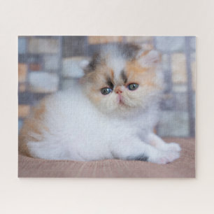 Cutest Baby Animals   Calico Persian Kitten Jigsaw Puzzle