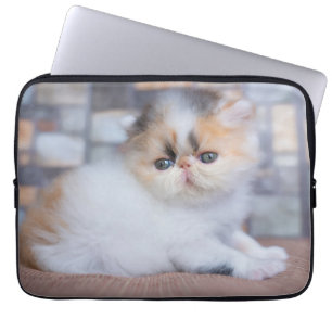 Cutest Baby Animals Calico Persian Kitten Laptop Sleeve