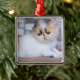 Cutest Baby Animals   Calico Persian Kitten Metal Ornament