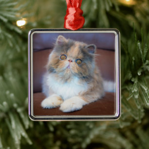 Cutest Baby Animals Calico Persian Kitten Metal Ornament