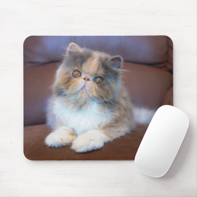 Cutest Baby Animals | Calico Persian Kitten Mouse Pad (With Mouse)