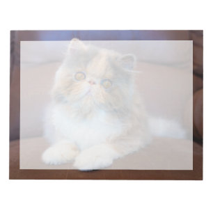 Cutest Baby Animals Calico Persian Kitten Notepad