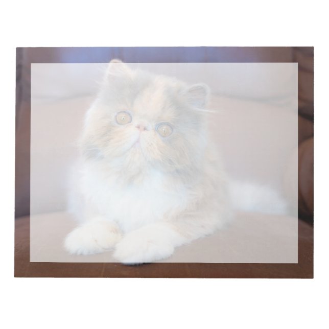 Cutest Baby Animals | Calico Persian Kitten Notepad (Front)