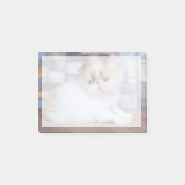 Cutest Baby Animals | Calico Persian Kitten Post-it Notes (Front)