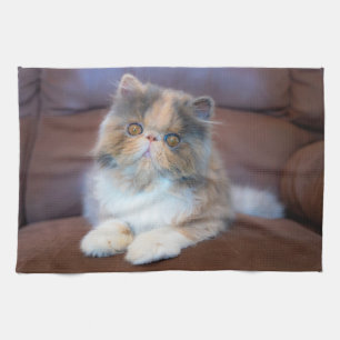 Cutest Baby Animals Calico Persian Kitten Tea Towel