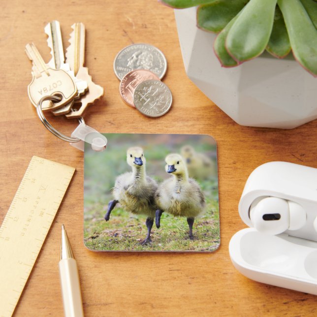 Cutest Baby Animals | Canadian Goose Goslings Key Ring (Desk)