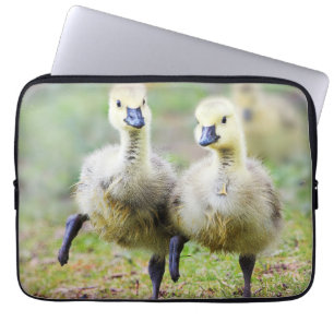 Cutest Baby Animals Canadian Goose Goslings Laptop Sleeve
