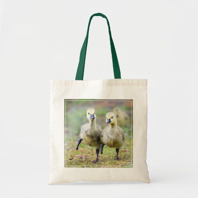 Cutest Baby Animals | Canadian Goose Goslings Tote Bag (Front)