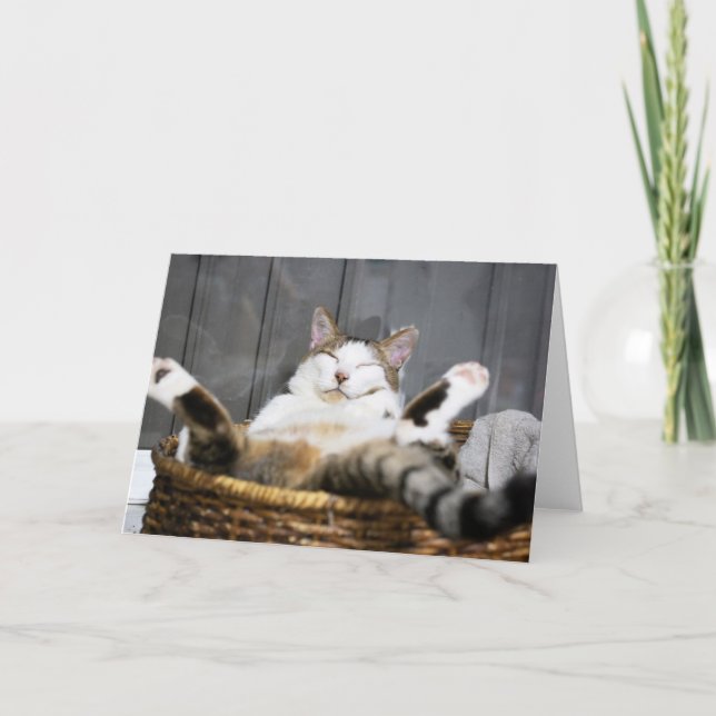 Cutest Baby Animals | Cat in Bed Card (Front)