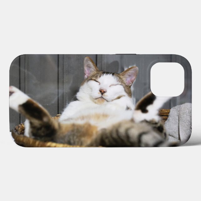 Cutest Baby Animals | Cat in Bed Case-Mate iPhone Case (Back (Horizontal))