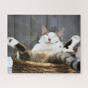 Cutest Baby Animals   Cat in Bed Jigsaw Puzzle