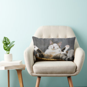 Cutest Baby Animals Cat in Bed Lumbar Cushion