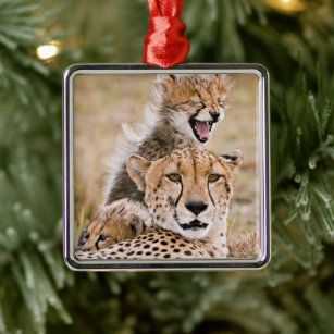 Kenya Christmas Tree Decorations & Ornaments