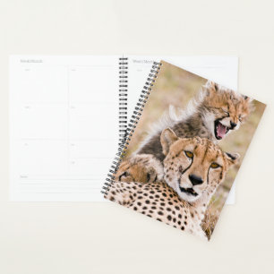 Cutest Baby Animals   Cheetah Cat & Cub Planner