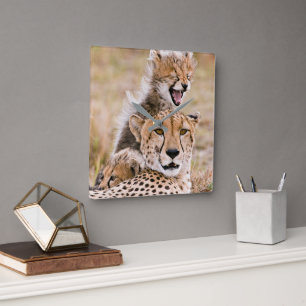 Cutest Baby Animals   Cheetah Cat & Cub Square Wall Clock