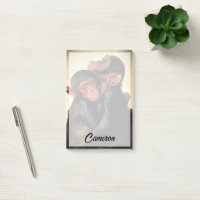 Cutest Baby Animals | Chimpanzee Hug