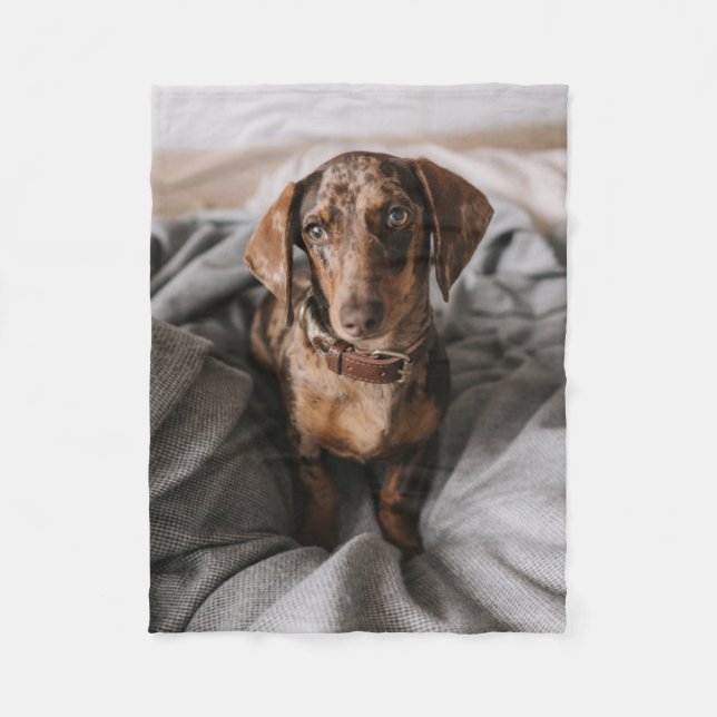 Cutest Baby Animals | Chocolate Dapple Dachshund Fleece Blanket (Front)