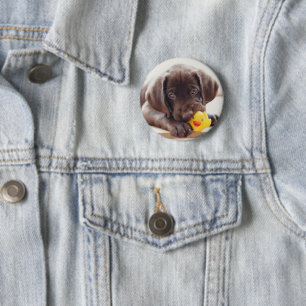 Cutest Baby Animals Chocolate Labrador Puppy 6 Cm Round Badge