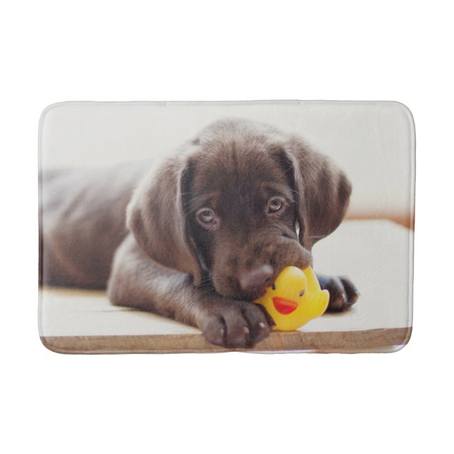 Cutest Baby Animals | Chocolate Labrador Puppy Bath Mat (Front)