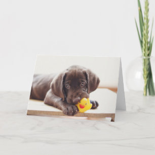 Cutest Baby Animals Chocolate Labrador Puppy Card