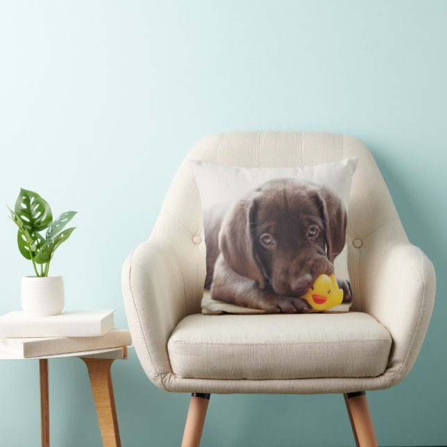 Cutest Baby Animals | Chocolate Labrador Puppy Cushion (Chair)
