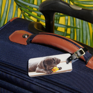 Cutest Baby Animals Chocolate Labrador Puppy Luggage Tag