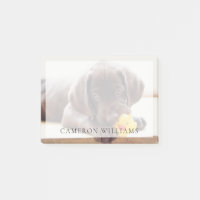 Cutest Baby Animals | Chocolate Labrador Puppy