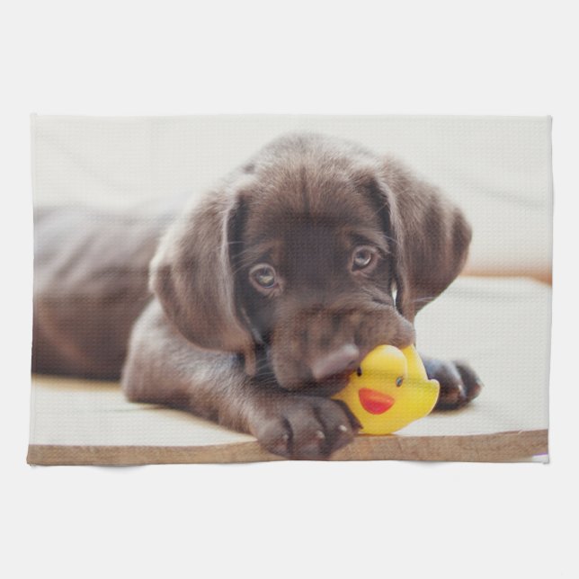 Cutest Baby Animals | Chocolate Labrador Puppy Tea Towel (Horizontal)