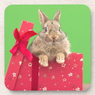 Cutest Baby Animals   Christmas Holiday Bunny Coaster