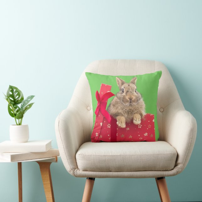Cutest Baby Animals | Christmas Holiday Bunny Cushion (Chair)