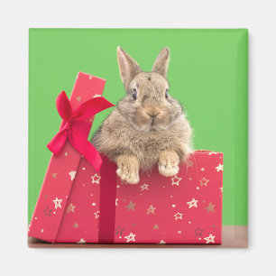Cutest Baby Animals Christmas Holiday Bunny Magnet