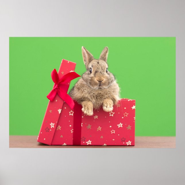 Cutest Baby Animals | Christmas Holiday Bunny Poster (Front)