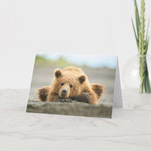 Cutest Baby Animals   Coastal Brown Bear Cub Card