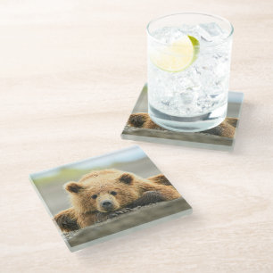 Cutest Baby Animals Coastal Brown Bear Cub Glass Coaster