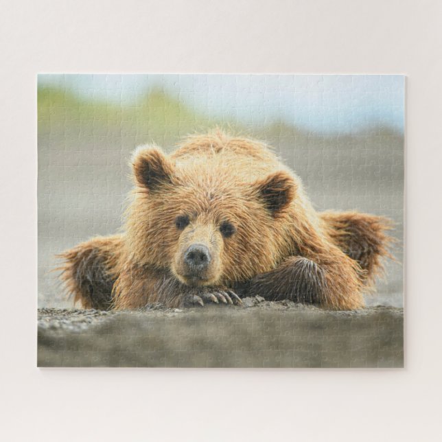 Cutest Baby Animals | Coastal Brown Bear Cub Jigsaw Puzzle (Horizontal)