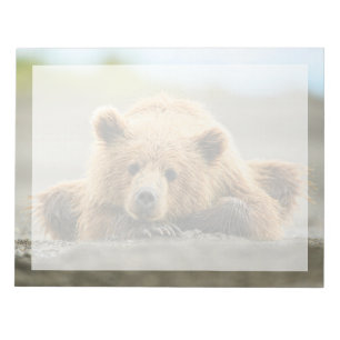 Cutest Baby Animals Coastal Brown Bear Cub Notepad