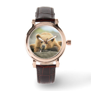 Cutest Baby Animals   Coastal Brown Bear Cub Watch