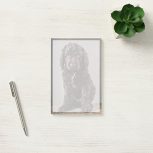 Cutest Baby Animals Cockapoo Puppy Post-it Notes