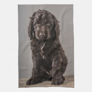 Cutest Baby Animals   Cockapoo Puppy Tea Towel