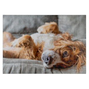Cutest Baby Animals   Cocker Spaniel Cutting Board