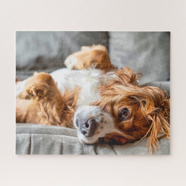 Cutest Baby Animals | Cocker Spaniel Jigsaw Puzzle (Horizontal)